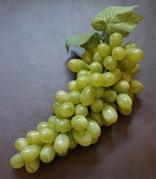 Grapes #5 Grapes #5